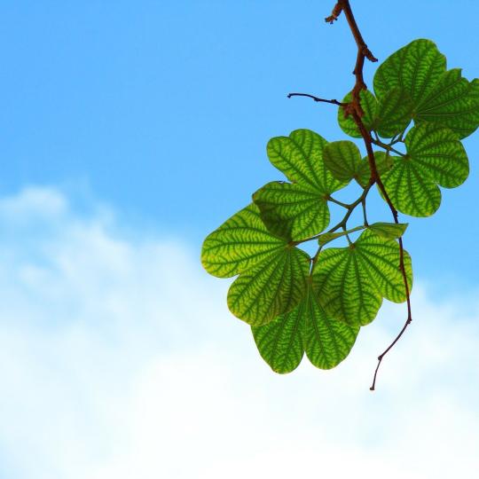 Heizen mit einer Luftwärmepumpe